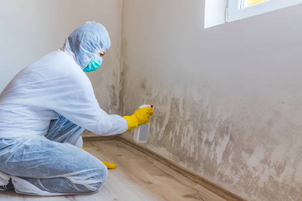 Licensed Mold Testing service in Hopewell, NJ - WQB Mold Removal