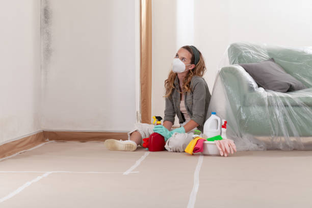 Reliable Mold Testing contractor in Hopewell, NJ by WQB Mold Removal